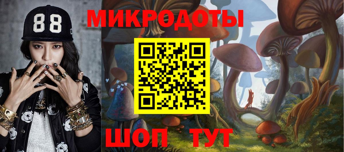 продажа наркотиков  Псилоцибиновые грибы мухоморы  Вход с VPN  Алексеевка 